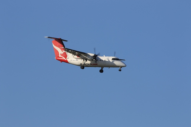 0G9A7798.jpg