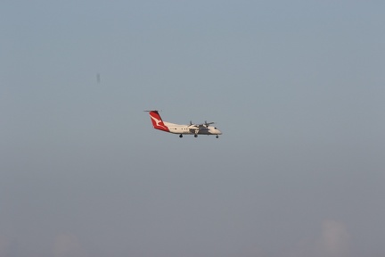 0G9A7960