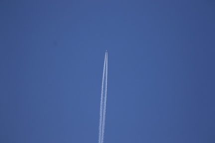 0G9A7974