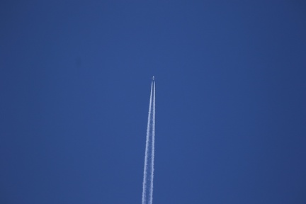 0G9A7975