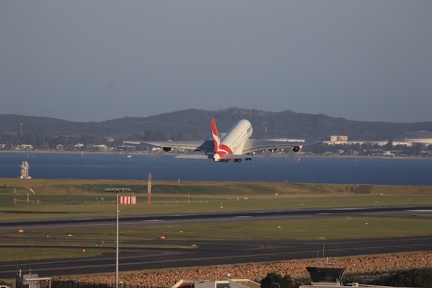 0G9A8002
