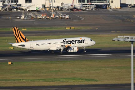 0G9A8039