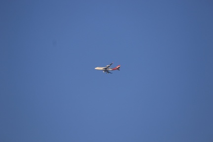0G9A8066