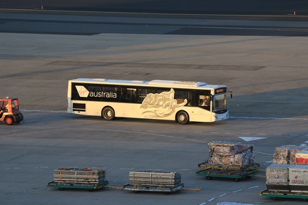 0G9A8130