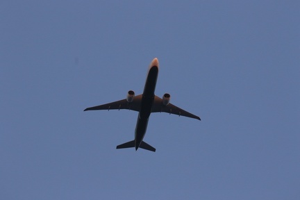 0G9A8177
