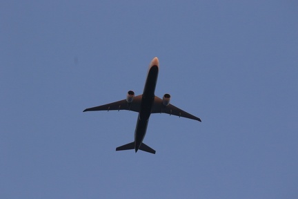 0G9A8178