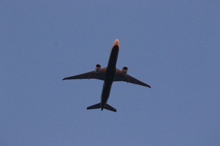 0G9A8179