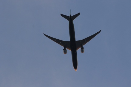 0G9A8182