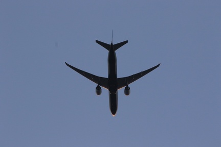 0G9A8184