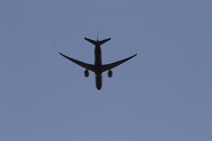0G9A8185