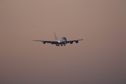 0G9A8229