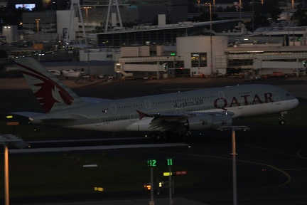 0G9A8256