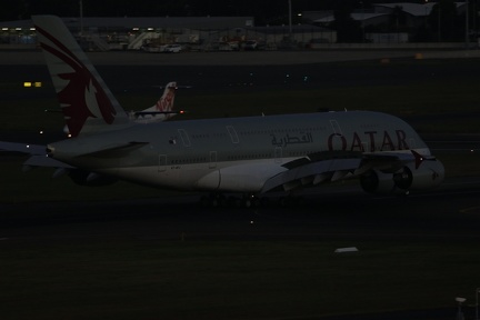 0G9A8269