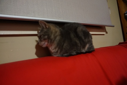 DSC01905