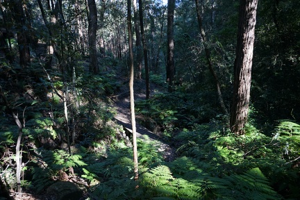 DSC01700