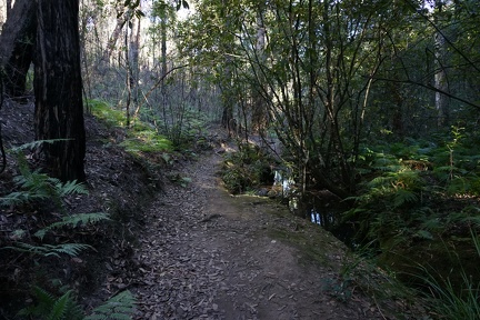 DSC01703