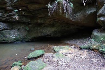 DSC01711