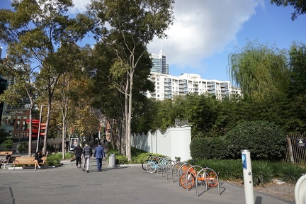 DSC02050
