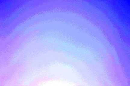 0G9A7593